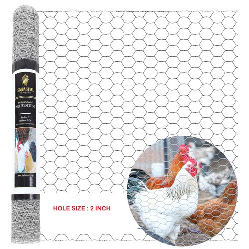 Galvanized poultry net - poultry,
